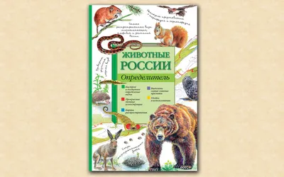 Самые редкие и необычные животные России (фото) | Пикабу