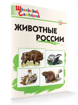 Самые быстрые животные России, ТОП-5 | В когтях у хищника | Дзен