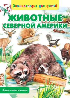 животные северной америки на белой задней плоской рисунке для детей  Иллюстрация вектора - иллюстрации насчитывающей койот, икона: 226298245