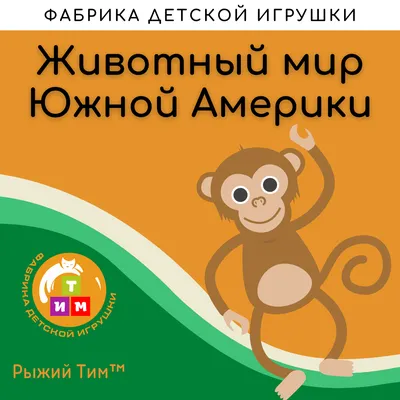 Дидактические карточки \"Животные Южной Америки\" МГП-9075 в Москве |  CLEVER-TOY.RU