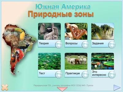 Плакат. Животные Южной Америки (5530855) - Купить по цене от 45.60 руб. |  Интернет магазин SIMA-LAND.RU