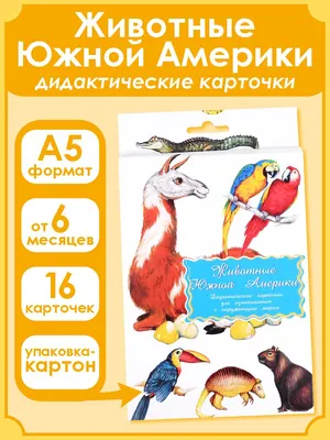 Животный мир Южной Америки