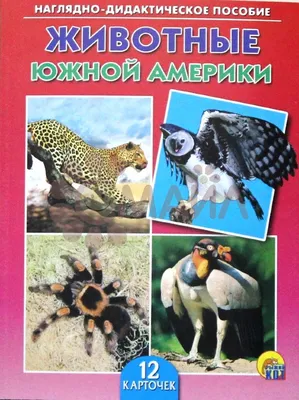 Удивительный мир животных Южной Америки | Мир животных | Дзен