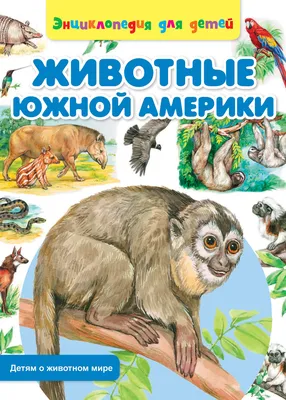 ДИД. ПОСОБИЕ. ЖИВОТНЫЕ ЮЖНОЙ АМЕРИКИ (Арт. ПД-0646)