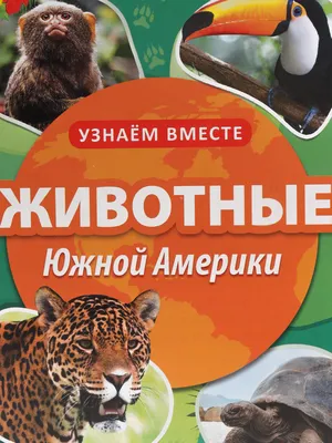 Иллюстрация Животные Южной Америки в стиле детский |