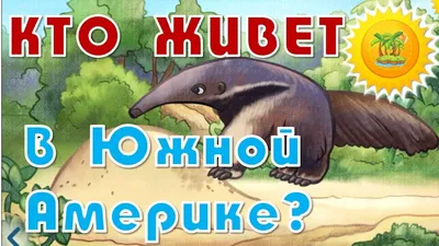 Обучающие карточки \"Животные Южной Америки\" - купить в интернет магазине,  продажа с доставкой - Днепр, Киев, Украина - Книги для детей 0 - 2 лет