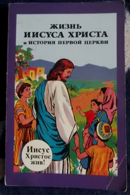 Детская библия в картинках + Жизнь Иисуса Христа и история первой церкви в  комиксах. Дэвид Кук (ID#1668049581), цена: 9500 ₴, купить на Prom.ua