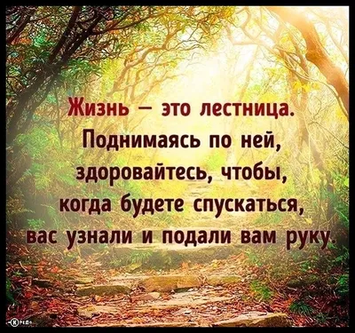 Статусы про Маму со Смыслом / Цитаты о Матери, Народная мудрость, Афоризмы  и Высказывания о Жизни - YouTube | Цитаты о матерях, Цитаты, Мама