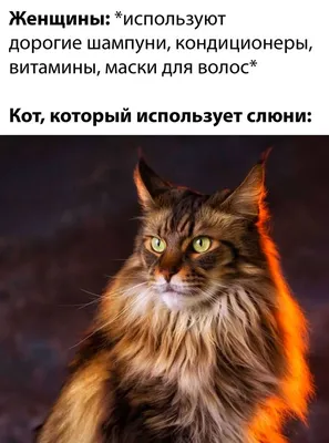 ПРИКОЛАНЛИЯ - юмор и приколы в жизни и бизнесе - #мама #женщина #девушка  #любовь | Facebook