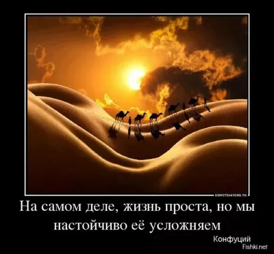 В жизни женщины есть пять стадий. Смешные приколы и анекдоты | Ксения  Молчанова | Дзен