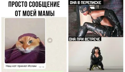 Картинки с днем рождения женщине прикольные - шуточные пожелания - Телеграф