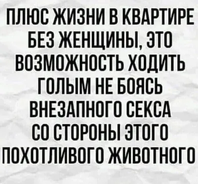 Смешные Картинки которые поднимут Вам настроение