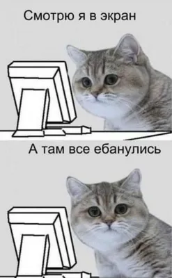 Смешные комментарии и СМС-диалоги
