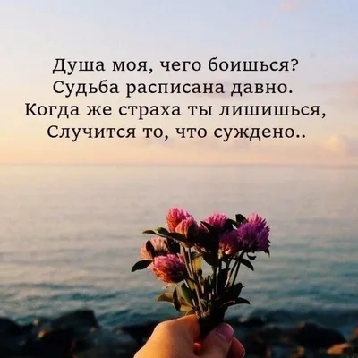 Жизненные цитаты | Facebook