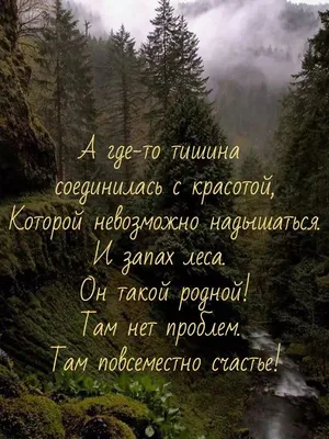 Как же Точно сказано! Мудрые Жизненные цитаты, пробирающие до мурашек!  Слова со смыслом До Слёз! - YouTube