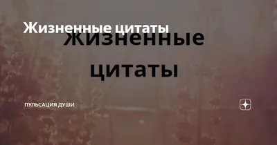 Жизненные Цитаты. | ВКонтакте