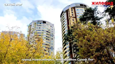 Купить 1-комнатную квартиру в микрорайоне Астра в городе Новосибирск,  продажа однокомнатных квартир во вторичке и первичке на Циан. Найдено 3  объявления