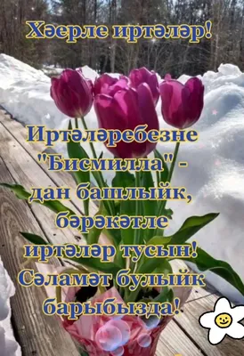 Хаерле жомга иртасе менан#🙏🙏🙏#☕☕☕#🍰🍰🍰🍰# | TikTok