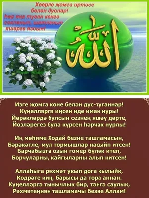 Яндекс Картинки: поиск по изображению