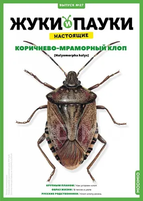 Журнал Выпуск №27: Жуки и пауки, Коричнево-мраморный клоп от MODIMIO