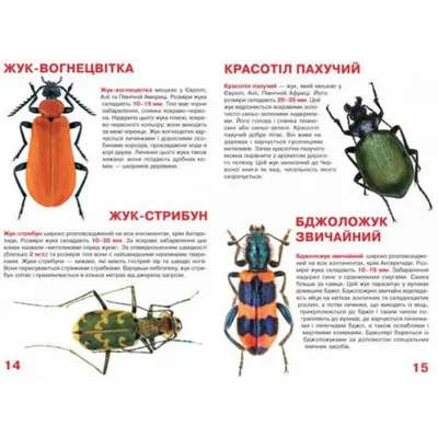 Невроятное нашествие божьих коровок на курортах Украины - фото и видео