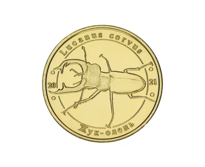 Инсектицид Супер ATAKA 4 мл+Прилепатель 10мл(Украинский аналог Стоп жук)  (средство от колорадского жука) (ID#871294731), цена: 16 ₴, купить на  Prom.ua