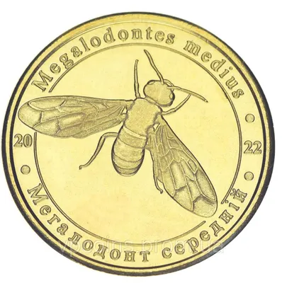 Жук на радиоуправлении Dorcus Titanus ZF (9996E-F) купить по низкой цене в  Киеве, Харькове, Одессе, Украине