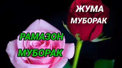 БАРЧАМИЗГА ЖУМА МУБОРАК - sanjarshodiyev2134 | Facebook