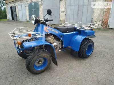 Pin by Aleksandar on ZIM 350 Atv | Monster trucks, Trucks, Atv