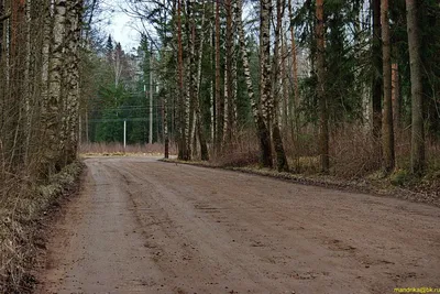 Когда зима без снега... / 31 декабря,+4 градуса тепла Суджа,Курская обл