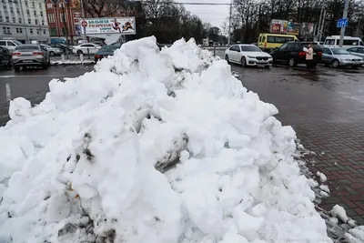 Декабрь без снега - только начало? Ученый рассказал, к чему приведет такая  зима в КР