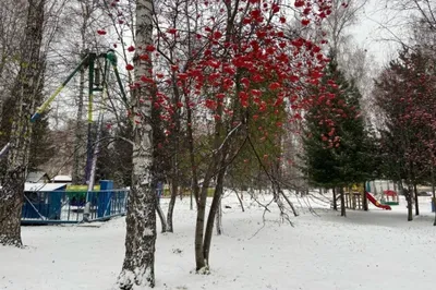 И без снега красивой бывает зима...