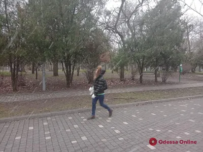 В Липецке ожидается солнце, без снега и до -2 в понедельник - последние  новости в Липецке и области на официальном сайте - Филиал ВГТРК  \"ГТРК\"Липецк\"