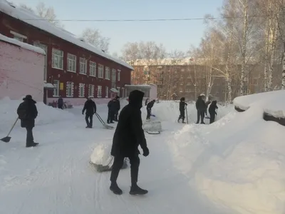 В чем главный минус теплой зимы без снега