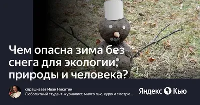 Утренняя Зима Без Снега Пейзаж — стоковые фотографии и другие картинки Без  людей - Без людей, Горизонтальный, Живописный - iStock