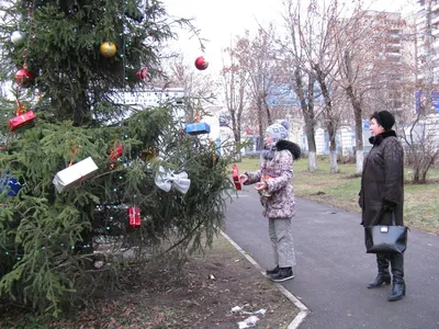 Фото великолепной зимы без снега: живописные моменты