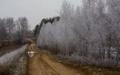 Изображения зимы без снега: отражение уникальных моментов