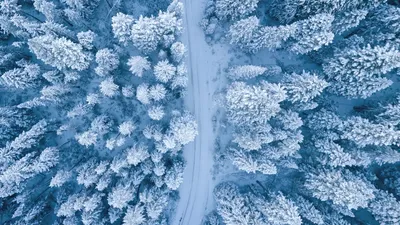 Тема «Der Winter» (Зима) » Немецкий язык: от А до Я | Deutsch: von A bis Z  - Новый подход к обучению немецкому как иностранному: индивидуальные  занятия (по Skype) + участие в