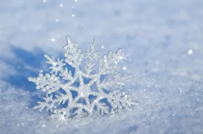 Зима в сентябре: минус 9 °C и сугробы — в этих регионах наблюдается резкое  похолодание