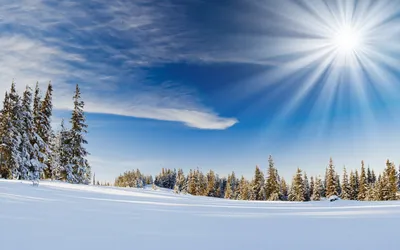 зима, закат солнца, теплая зима, природа фон картинки и Фото для бесплатной  загрузки