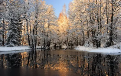 Зима фото на заставку фотографии