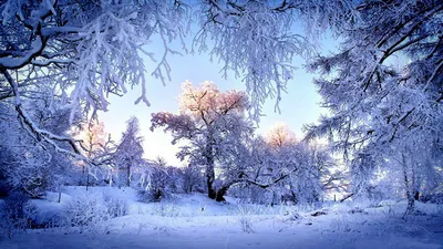 Зима для детей - фото и картинки: 54 штук