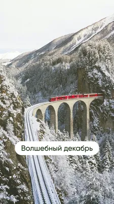 Девушка в зимнем лесу - 68 фото