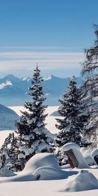 Зима#горы #деревья #снег | Пейзажи, Фоновые рисунки, Африканские картины