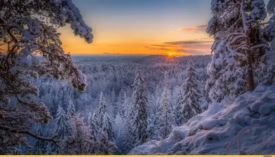 Природа Зима фон с ветвями снегопада Стоковое Фото - изображение  насчитывающей конспектов, место: 159918954