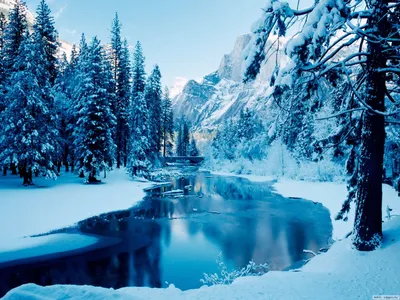 Фотография речка зимой зимние Природа Времена года 1600x1200