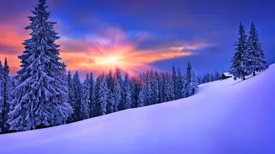 Бесплатное изображение: Фрост, снег, закат, зима, природа, снег, снежинка,  атмосфера, небо