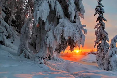 Зима, природа | Природа, Зима