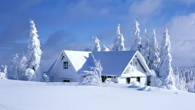 снег #природа #север #новыйуренгой #ямал#зиманаямале#зима#природа#деревня#фотодня#севера…  | Instagram