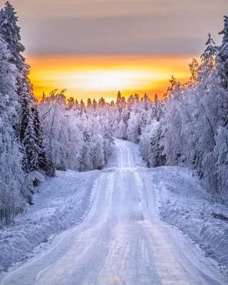 Зима картинки фотографии